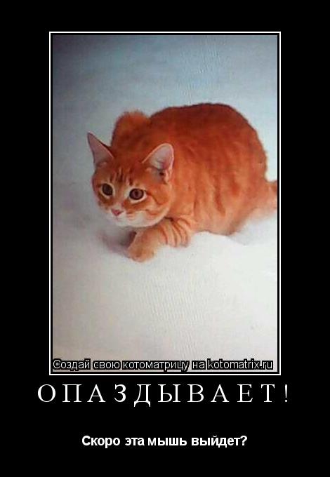 Котоматрица: Опаздывает! Скоро эта мышь выйдет?