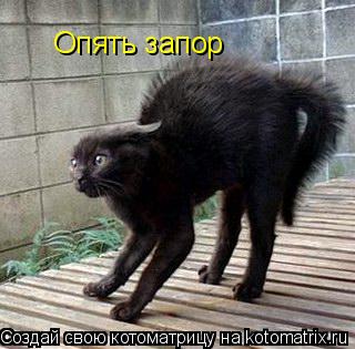 Котоматрица: Опять запор
