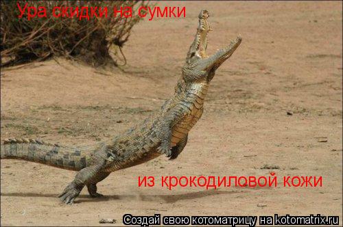 Котоматрица: Ура скидки на сумки  из крокодиловой кожи