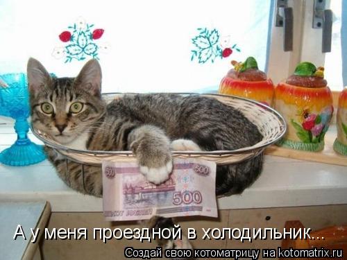Котоматрица: А у меня проездной в холодильник...