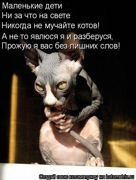 Котоматрица: Маленькие дети Ни за что на свете Никогда не мучайте котов! А не то явлюся я и разберуся, Прожую я вас без лишних слов!