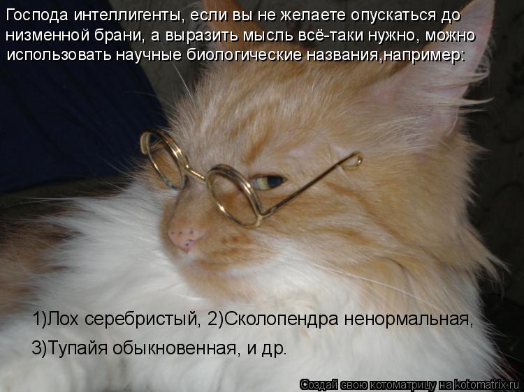 Котоматрица: Господа интеллигенты, если вы не желаете опускаться до  низменной брани, а выразить мысль всё-таки нужно, можно  использовать научные биоло