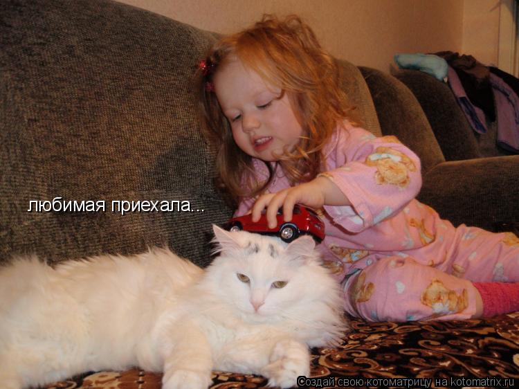 Котоматрица: любимая приехала...
