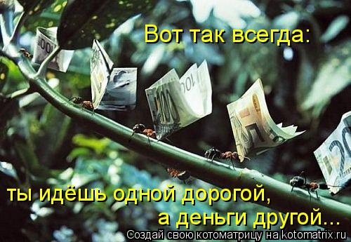 Котоматрица: Вот так всегда: ты идёшь одной дорогой, а деньги другой...