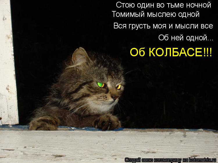 Котоматрица: Стою один во тьме ночной Вся грусть моя и мысли все Об ней одной... Томимый мыслею одной Об КОЛБАСЕ!!!