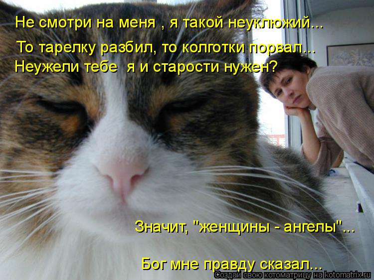 Не смотри на меня , я такой неуклюжий... То тарелку разбил, то колготки порвал... Неужели тебе я и с... Котоматрица: Не смотри на меня , я такой неуклюжий... То тарелку разбил, то колготки порвал... Неужели тебе я и старости нужен? Значит, "женщины - ангелы"... Бо