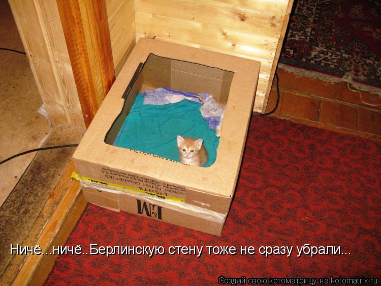 Котоматрица: Ничё...ничё..Берлинскую стену тоже не сразу убрали...
