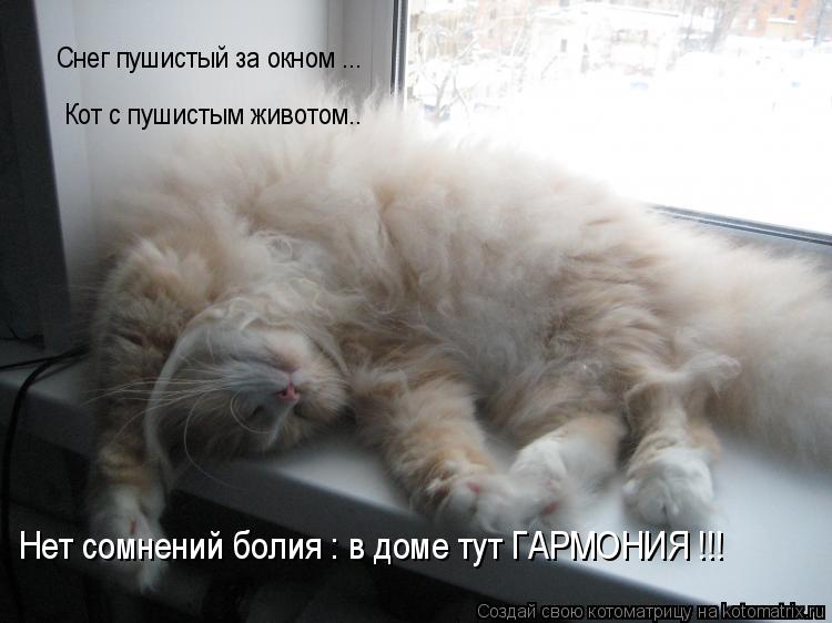 Котоматрица: Снег пушистый за окном ... Кот с пушистым животом.. Нет сомнений болия : в доме тут ГАРМОНИЯ !!!