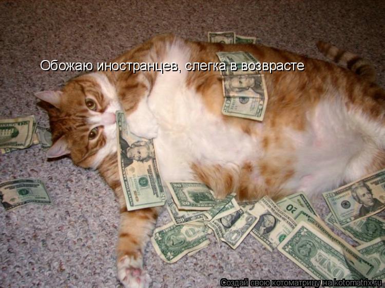 Котоматрица: Обожаю иностранцев, слегка в возврасте