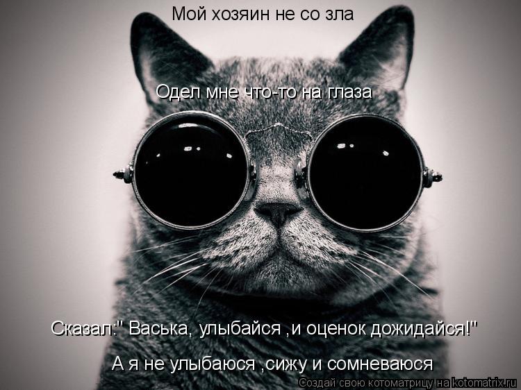 Котоматрица: Мой хозяин не со зла Одел мне что-то на глаза Сказал:" Васька, улыбайся ,и оценок дожидайся!" А я не улыбаюся ,сижу и сомневаюся
