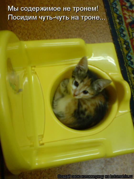 Котоматрица: Мы содержимое не тронем! Посидим чуть-чуть на троне...