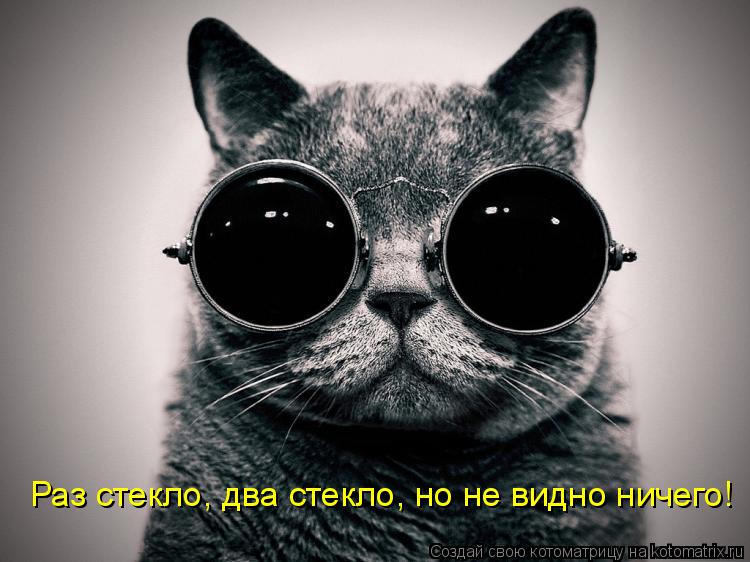 Котоматрица: Раз стекло, два стекло, но не видно ничего!