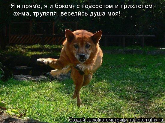 Котоматрица: Я и прямо, я и боком, с поворотом и прихлопом, эх-ма, труляля, веселись душа моя!
