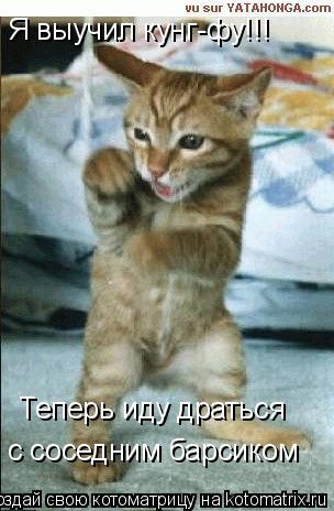 Котоматрица: Я выучил кунг-фу!!! Теперь иду драться с соседним барсиком