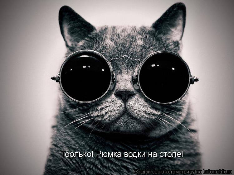 Котоматрица: Тоолько! Рюмка водки на столе!