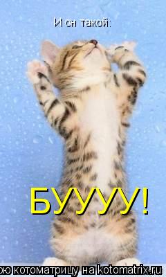 Котоматрица: И он такой: БУУУУ! БУУУУ!