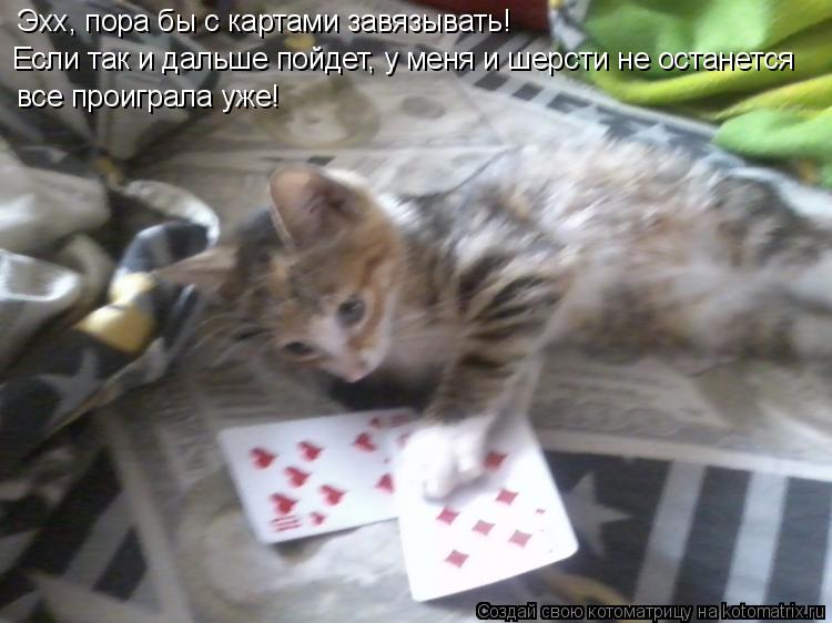 Котоматрица: Эхх, пора бы с картами завязывать! Если так и дальше пойдет, у меня и шерсти не останется все проиграла уже!