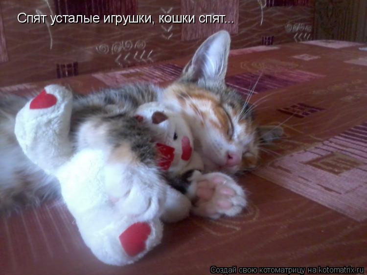 Котоматрица: Спят усталые игрушки, кошки спят...