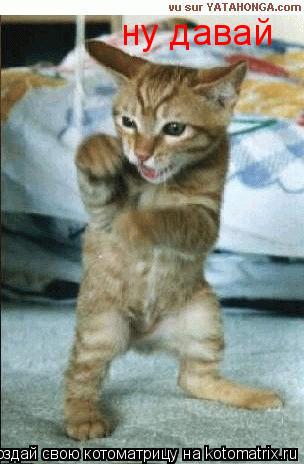 Котоматрица: ну давай