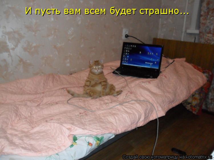 Котоматрица: И пусть вам всем будет страшно...