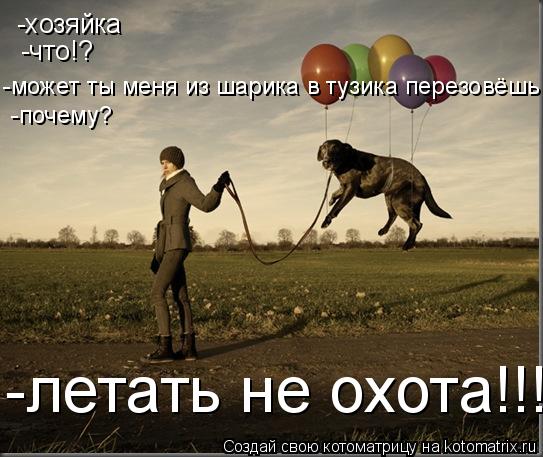 Котоматрица: -хозяйка -что!? -может ты меня из шарика в тузика перезовёшь -почему? -летать не охота!!!!