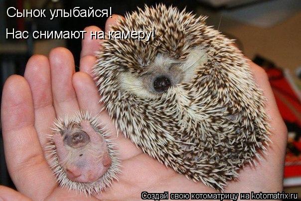 Котоматрица: Сынок улыбайся! Нас снимают на камеру!