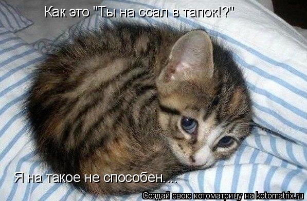 Котоматрица: Как это "Ты на ссал в тапок!?" Я на такое не способен....