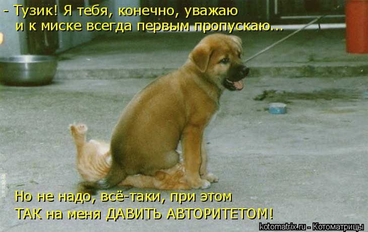 Котоматрица: - Тузик! Я тебя, конечно, уважаю и к миске всегда первым пропускаю... Но не надо, всё-таки, при этом ТАК на меня ДАВИТЬ АВТОРИТЕТОМ!