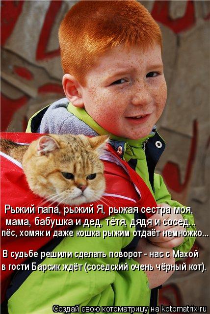 Котоматрица: Рыжий папа, рыжий Я, рыжая сестра моя,  мама, бабушка и дед, тётя, дядя и сосед... пёс, хомяк и даже кошка рыжим отдаёт немножко... в гости Барсик 