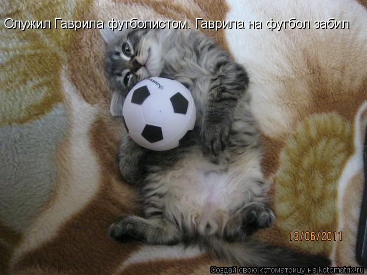 Котоматрица: Служил Гаврила футболистом. Гаврила на футбол забил Служил Гаврила футболистом. Гаврила на футбол забил