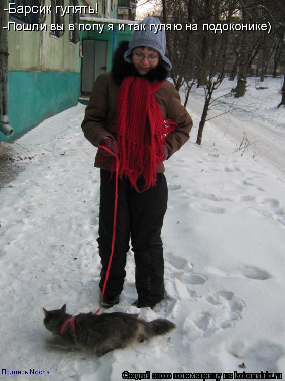 Котоматрица: -Барсик гулять! -Пошли вы в попу я и так гуляю на подоконике) Подпись Nocha