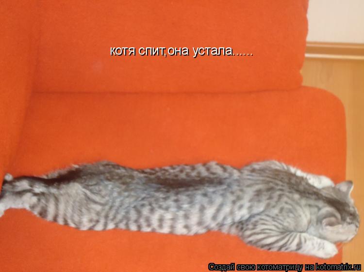 Котоматрица: котя спит,она устала......