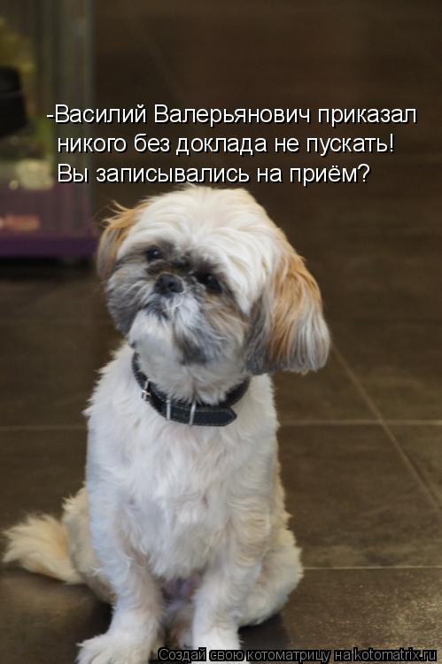 Котоматрица: -Василий Валерьянович приказал  никого без доклада не пускать! Вы записывались на приём?