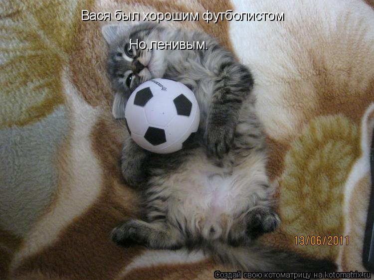 Котоматрица: Вася был хорошим футболистом Но,ленивым.