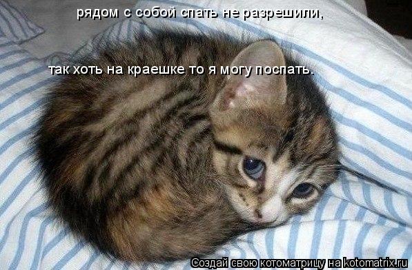 Котоматрица: рядом с собой спать не разрешили, так хоть на краешке то я могу поспать.