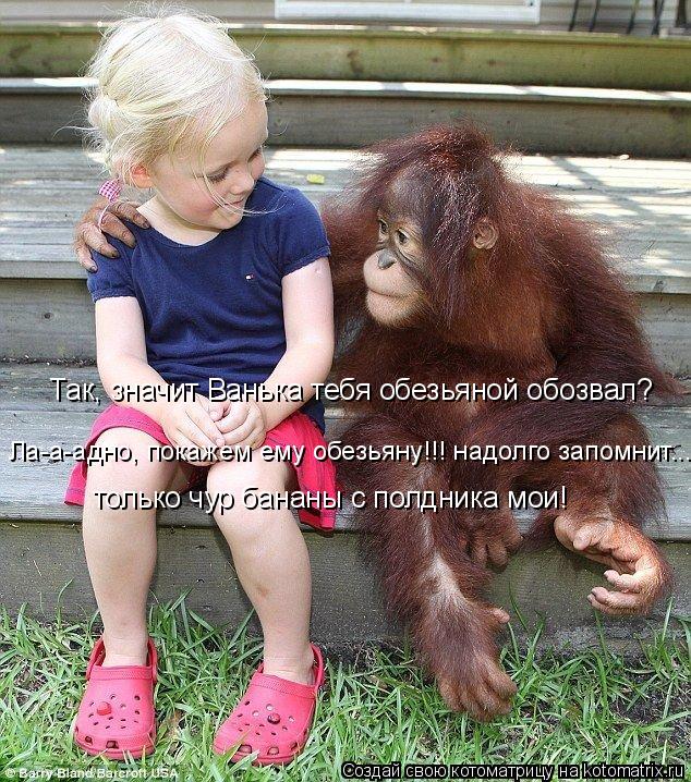 Котоматрица: Так, значит Ванька тебя обезьяной обозвал? Ла-а-адно, покажем ему обезьяну!!! надолго запомнит... только чур бананы с полдника мои!