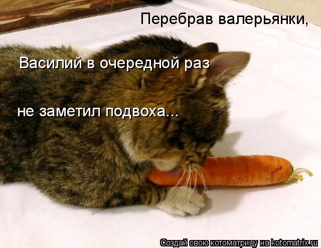 Котоматрица: Перебрав валерьянки, Василий в очередной раз  не заметил подвоха...