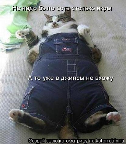 Котоматрица: Не надо было есть столько икры А то уже в джинсы не вхожу