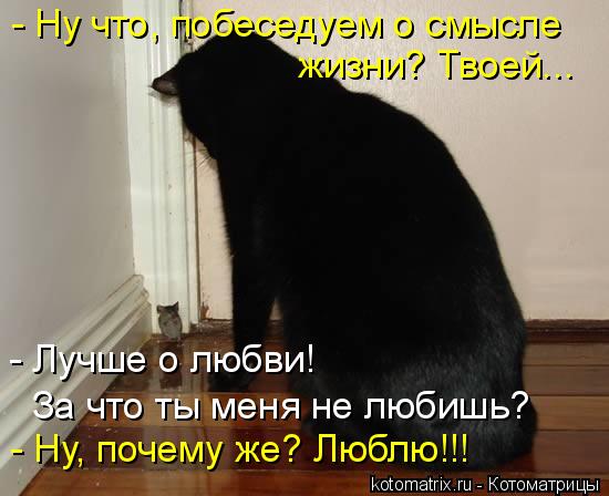Котоматрица: жизни? Твоей... - Ну что, побеседуем о смысле  - Ну, почему же? Люблю!!! - Лучше о любви! За что ты меня не любишь?
