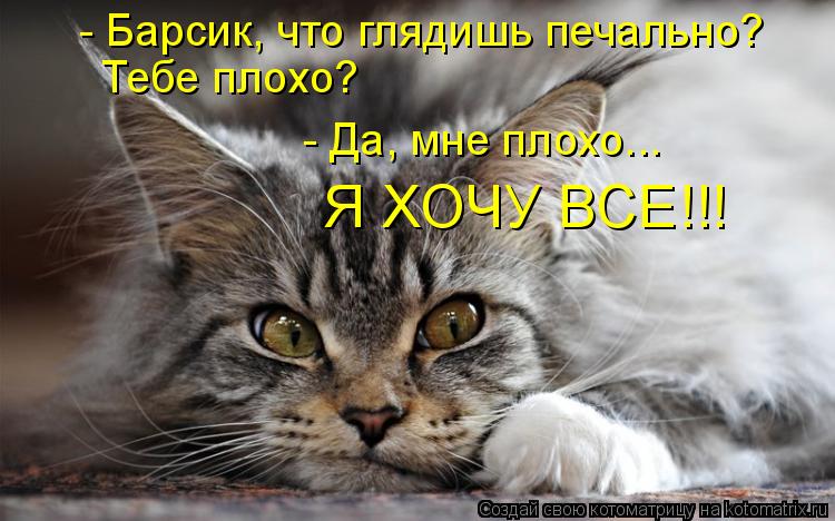 Котоматрица: - Барсик, что глядишь печально? Тебе плохо? - Да, мне плохо... Я ХОЧУ ВСЕ!!!