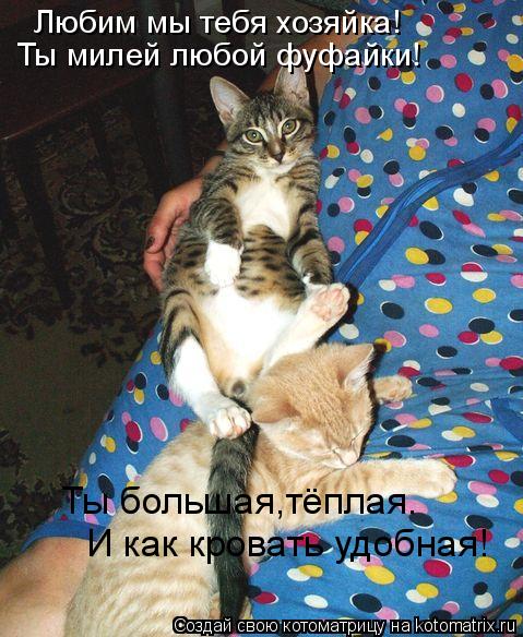 Котоматрица: Любим мы тебя хозяйка! Ты милей любой фуфайки! Ты большая,тёплая. И как кровать удобная!