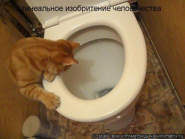 Котоматрица: гинеальное изобритение человечества