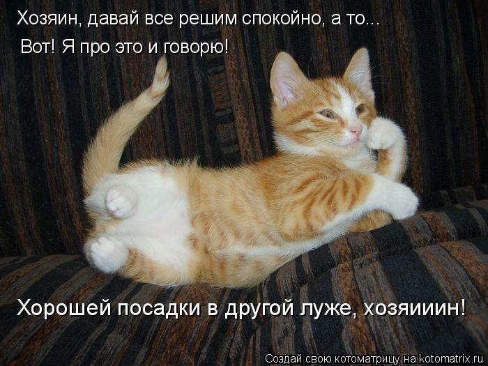 Котоматрица: Хозяин, давай все решим спокойно, а то... Вот! Я про это и говорю! Хорошей посадки в другой луже, хозяииин!