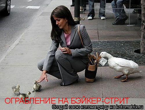 Котоматрица: ОГРАБЛЕНИЕ НА БЭЙКЕР-СТРИТ