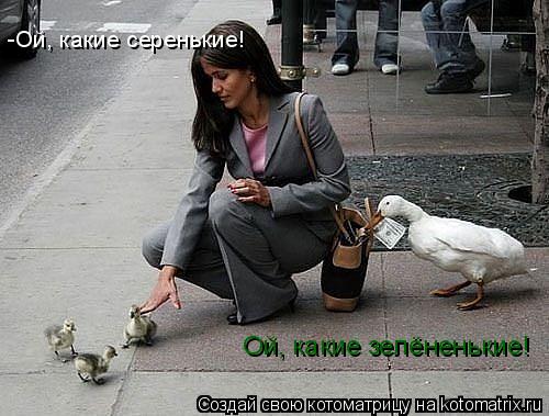-Ой, какие серенькие! Ой, какие зелёненькие!... Котоматрица: -Ой, какие серенькие! Ой, какие зелёненькие!