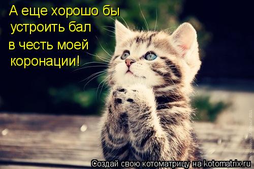 Котоматрица: А еще хорошо бы  устроить бал  в честь моей коронации!