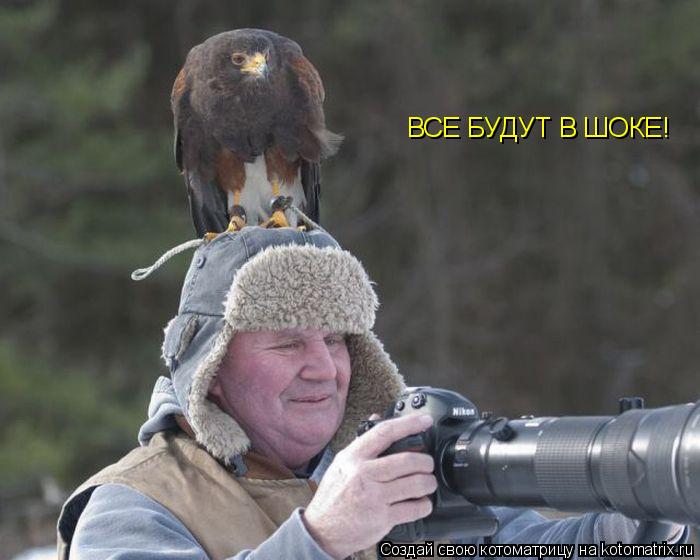 Котоматрица: ВСЕ БУДУТ В ШОКЕ!