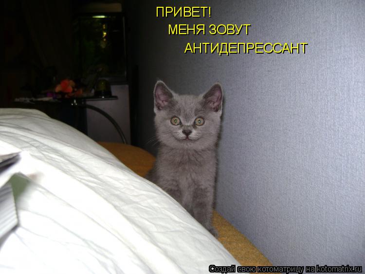 Котоматрица: ПРИВЕТ! МЕНЯ ЗОВУТ  АНТИДЕПРЕССАНТ