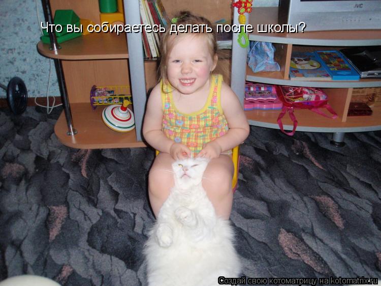 Котоматрица: Что вы собираетесь делать после школы?