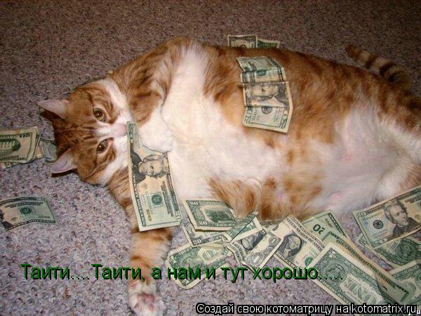 Котоматрица: Таити....Таити, а нам и тут хорошо.....